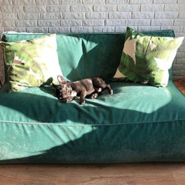 Зеленый диван из велюра недорого