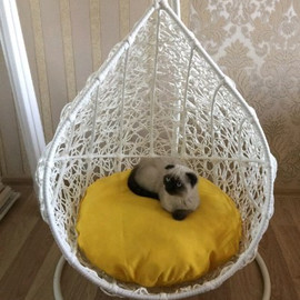 Купить подвесное кресло кокон для животных в Украине